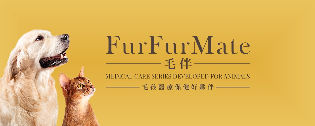 bn_r1_c1.jpg bn_r1_c1.jpg